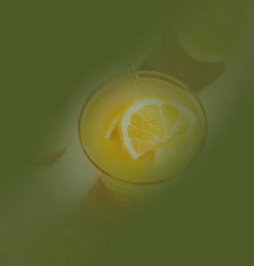 das-waldtraut-gut-essen-in-Oberursel-hausgemachte Limonade