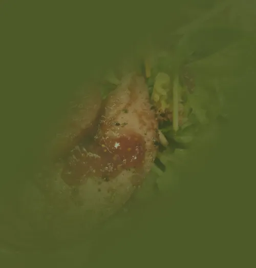 Das Waldtraut Gut essen in Oberursel Herbstliche Blattsalate mit Wildmedaillons