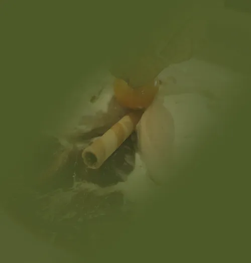 Das Waldtraut Gut essen in Oberursel Zwetschgenröster